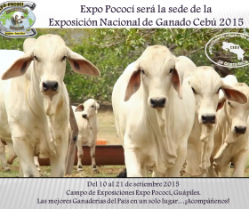 Invitación Nacional Cebú - Expo Pococí 2015
