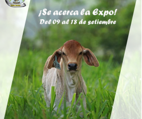 Anuncio Expo Pococí 2016 26-08-2016