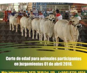 EXPICA ROTATIVA COSTA RICA 2018!