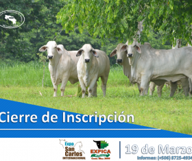 cierre de inscripción EXPICA